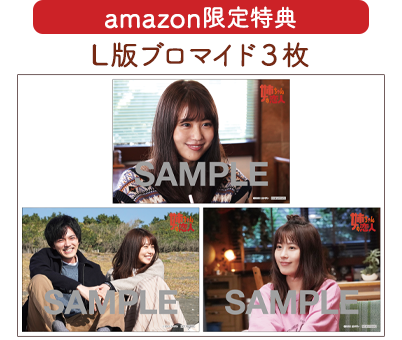 姉ちゃんの恋人」Blu-ray&DVD-BOX特設サイト