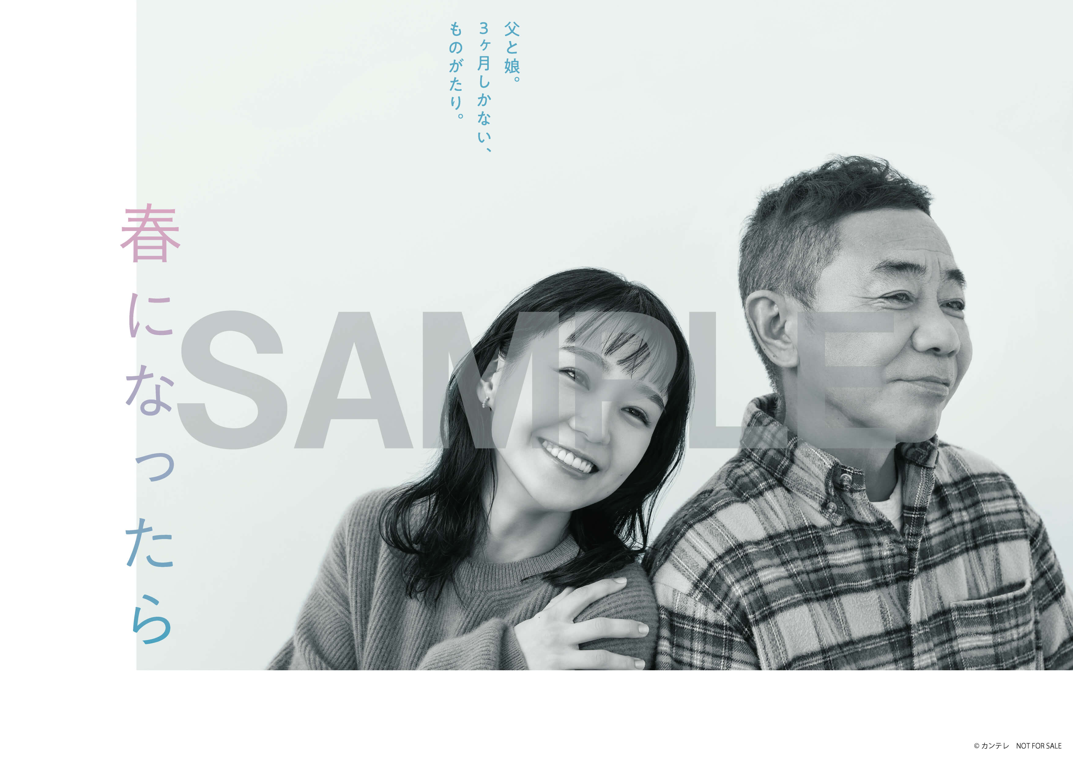 春になったら」 Blu-ray＆DVD BOX特設サイト
