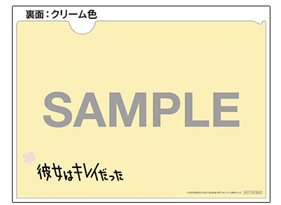 彼女はキレイだった」Blu-ray&DVD-BOX特設サイト