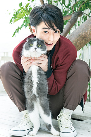 ねこ男子」公式サイト
