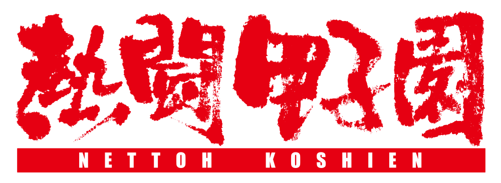 熱闘甲子園 DVD まとめ売り 2020年交流試合 熱闘甲子園 DVD まとめ売り